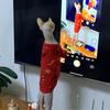 红绿灯的黄1