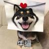 南湖懂个球