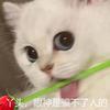 德布劳内地球第一中场