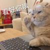 杨大慧