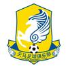 埃及奋斗派大欣