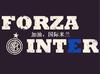 蓝黑forzainter