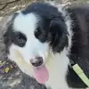 上海黄宗泽