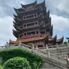 v范大腿