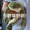 球赛云
