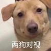 心境高雅韵如风-英俊潇洒令狐冲