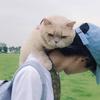 克雷桑牛犇