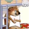 绿野熏猪