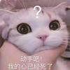 HuuuangLi_