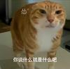 超超吵吵