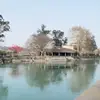 没条件看书一百页