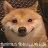 松间辞