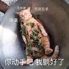 火娃-