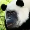 加钱哥