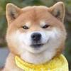 颓废蓝黑