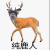 福建马拉多纳球场小郑