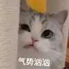 飛漁
