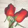 不愿意透露姓名的球神