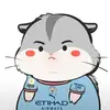 净利率莫属