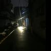 亚里士多德哈