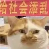 曾有你的森林
