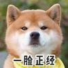 Hu兰兰