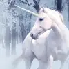 紫濟迗