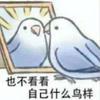 键盘侠光宗耀祖