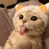 西游记作者六小龄童