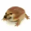 捕鼠王穆勒