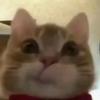 llllllll2llll