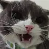 超级剪影