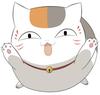 soarcat