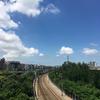 泽小西