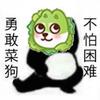 杨棒棒不棒