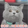 tetsu2018