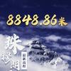 新时代我爱刘亦菲