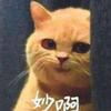 阮平湖