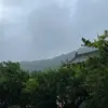 火星阿森纳小叶8