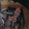 养老一号
