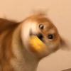 大挖挖