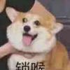 哈宝第一颜粉