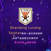 丿战丶倾城