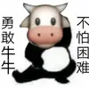 一下子就杯具了