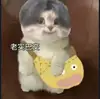 信念丿