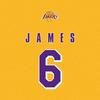 lbj-king