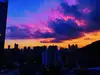 雨落彷徨
