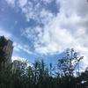 鳄鱼南海