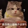 我是外星人promise