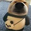 Jesse陈